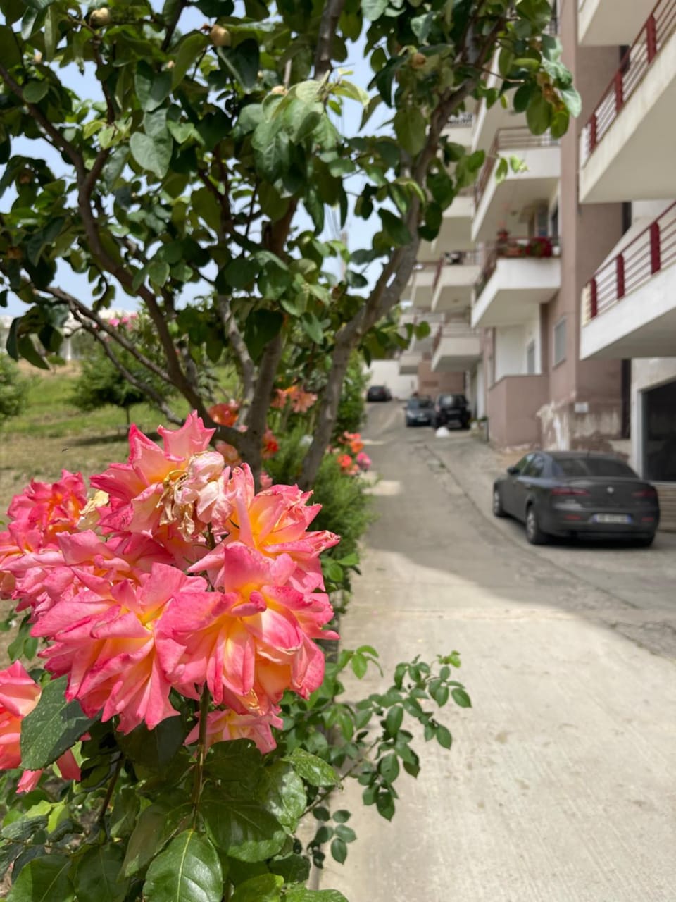 Day, Garden view, Street view, Parking