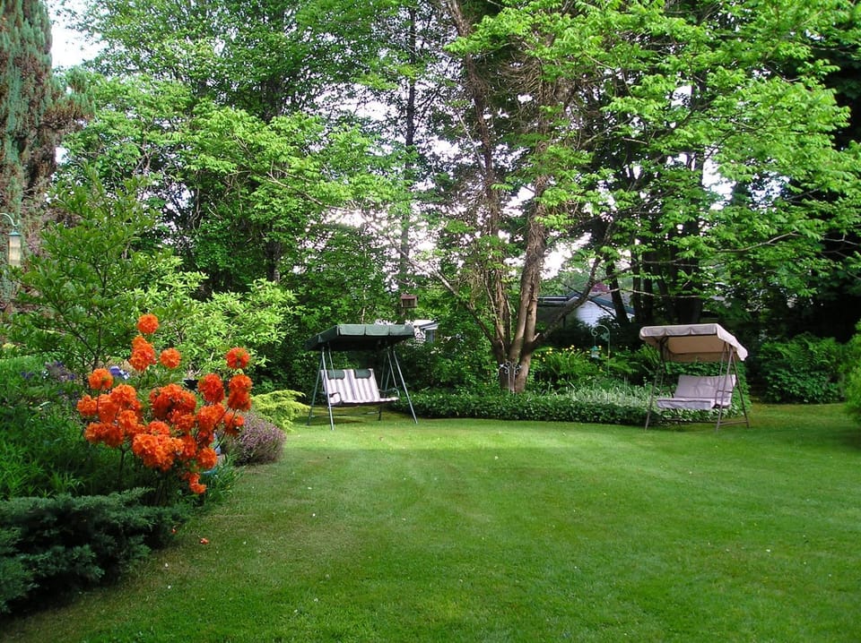 Garden view