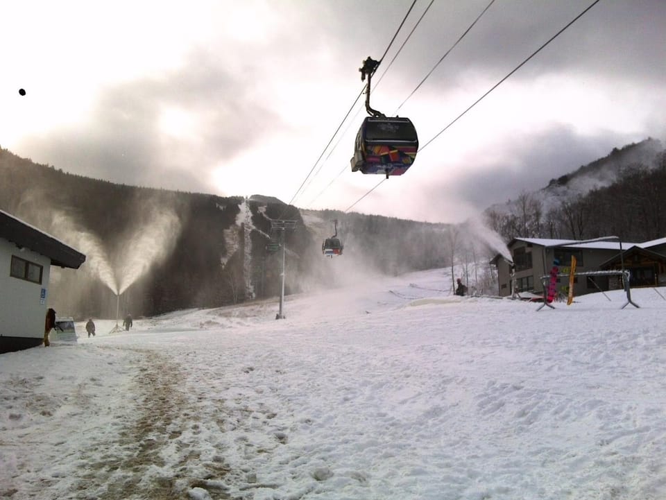 Skiing, Area and facilities
