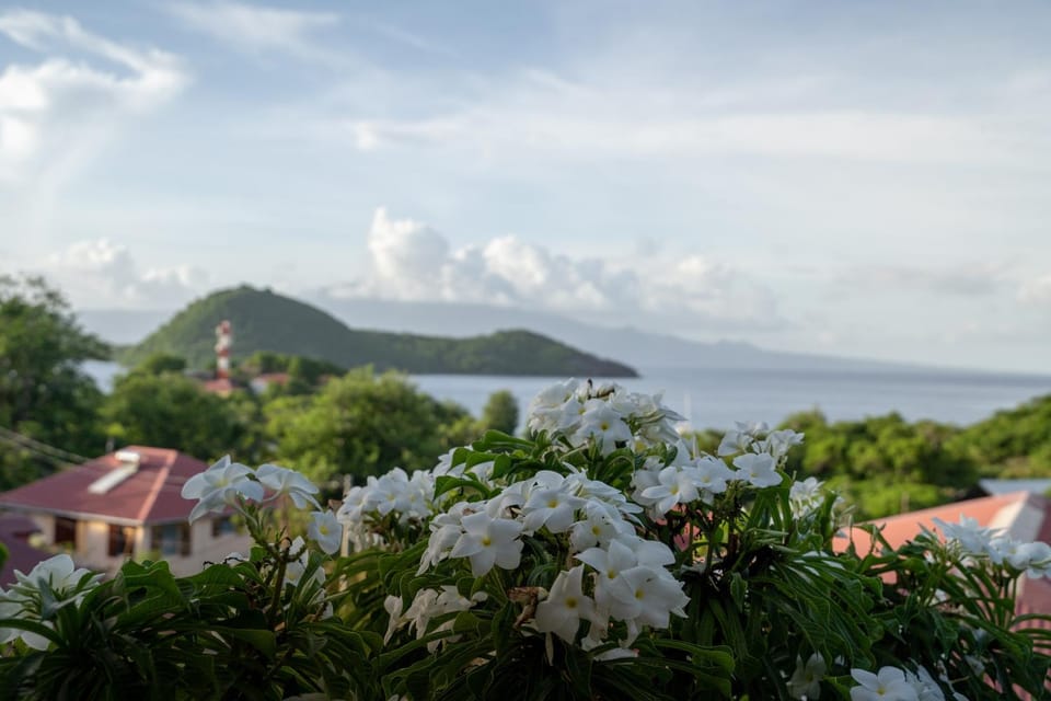 Bungalow Anse Figuier Apartment in Leeward Islands