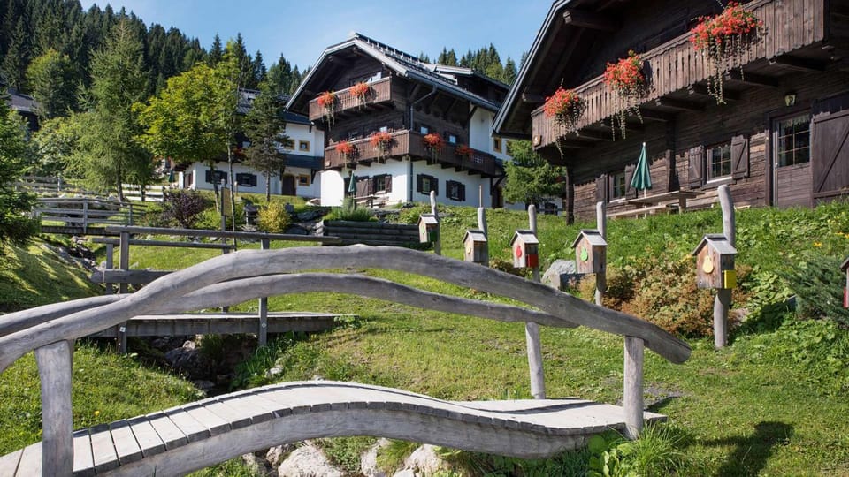 View (from property/room)