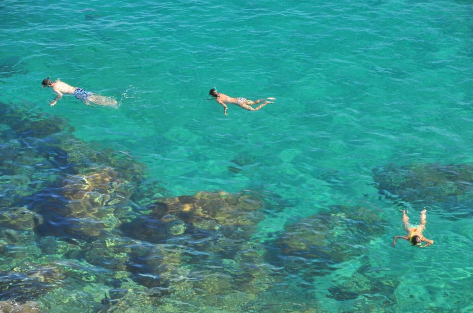 Snorkeling, group of guests