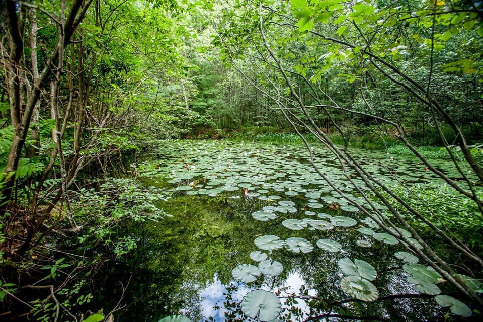 Natural landscape