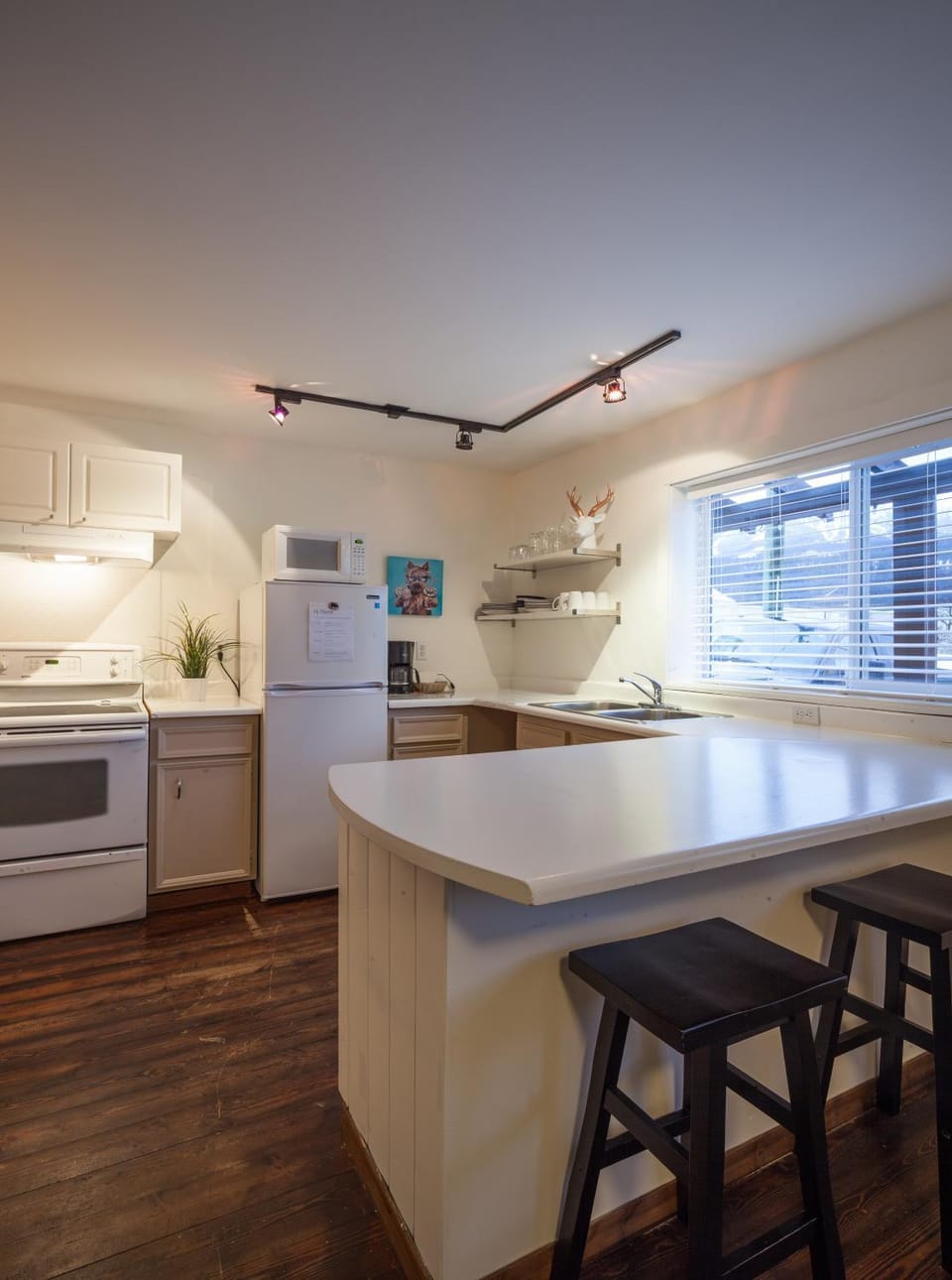 Day, Winter, Kitchen or kitchenette, On site