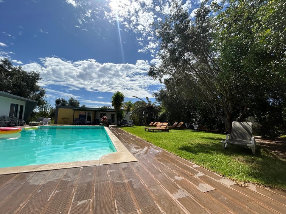 Natural landscape, Garden, Garden view, Pool view, Swimming pool, sunbed