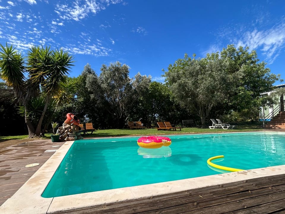 Day, Garden, Garden view, Pool view, Swimming pool, sunbed