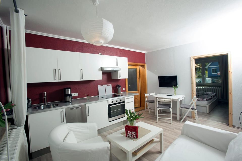 Kitchen or kitchenette, Living room, Photo of the whole room, Seating area, Dining area