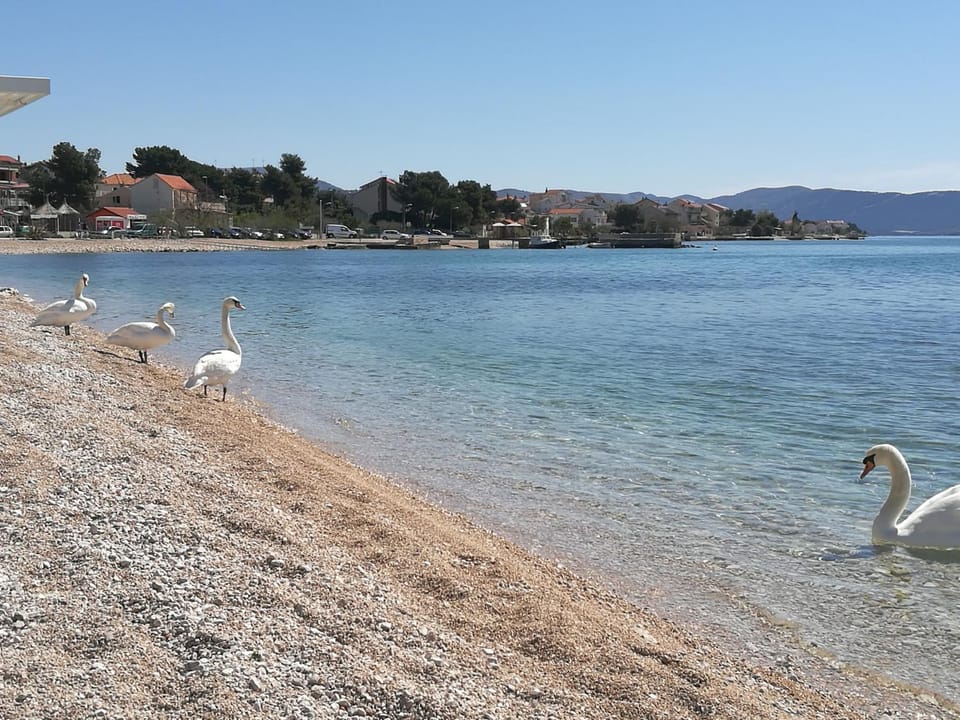 Apartman Ban Apartment in Šibenik