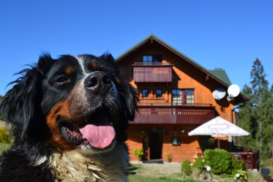 Penzión Dinda Bed and Breakfast in Lesser Poland Voivodeship