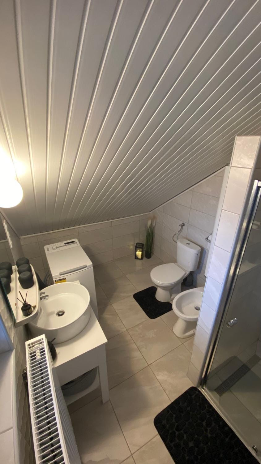 Toilet, Bathroom, bidet, washing machine