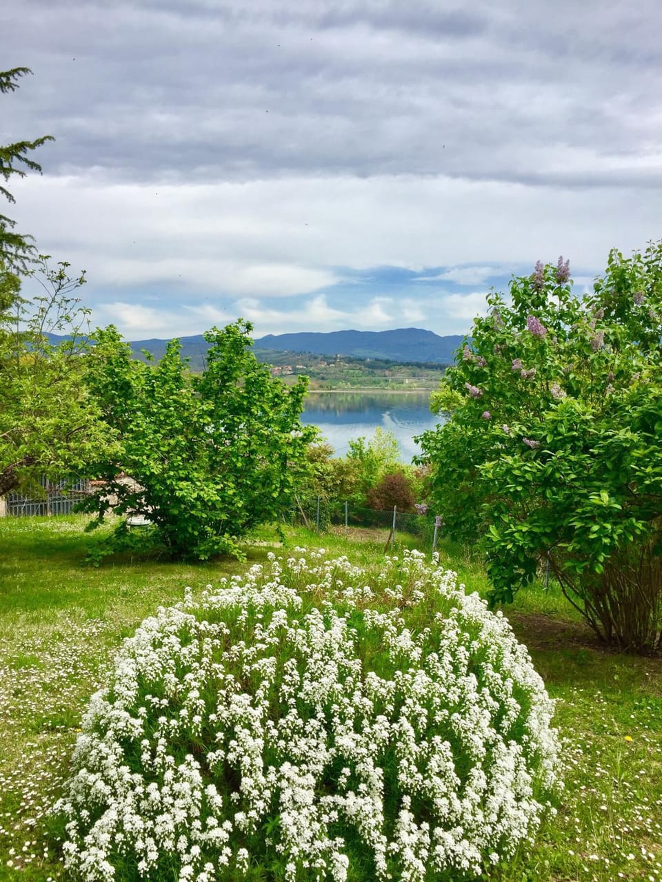 Natural landscape, Garden