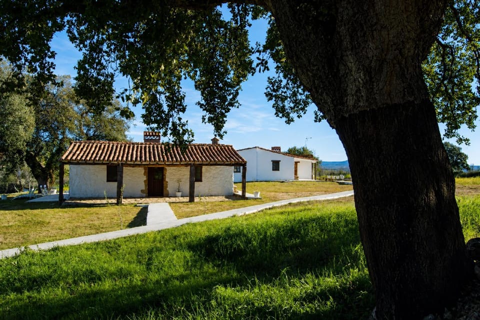Property building, Day, Natural landscape, Garden