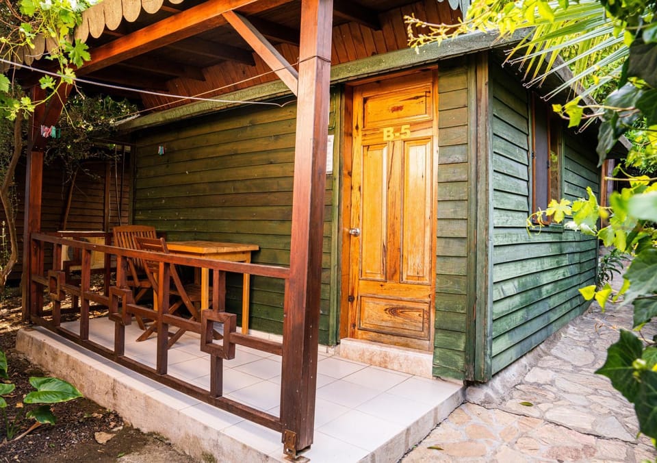 Patio, Spring, Garden, Garden view