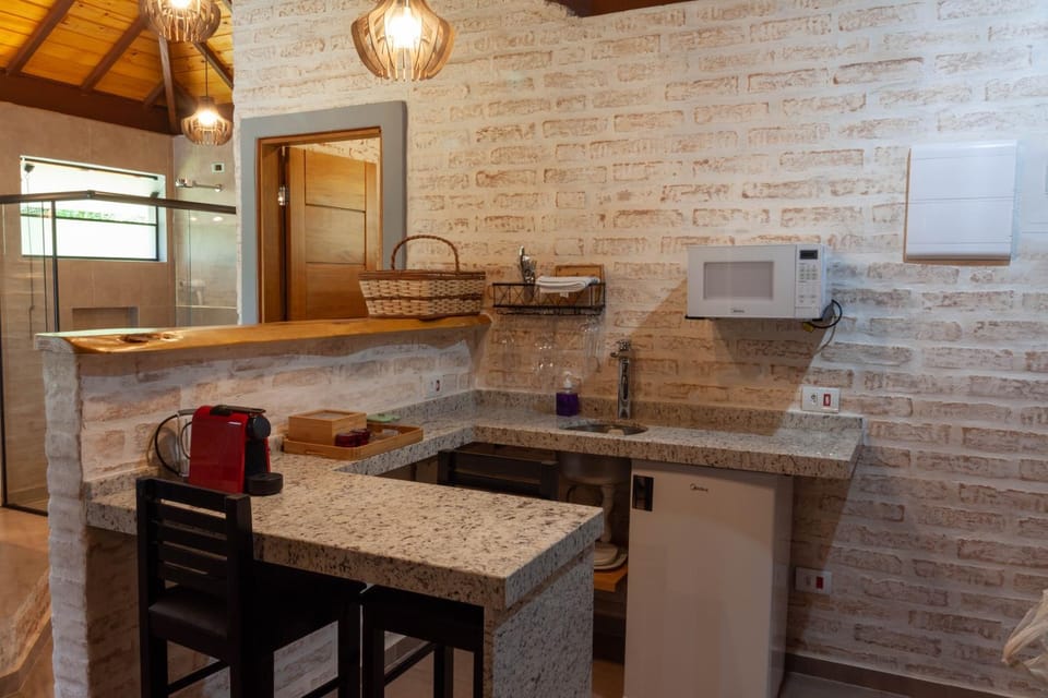 Kitchen or kitchenette, minibar, oven