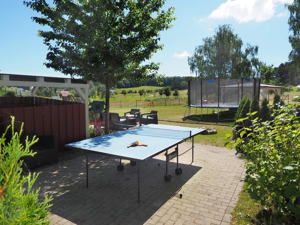 Table tennis