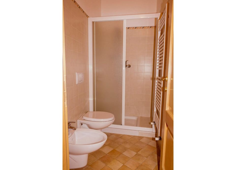 Shower, Toilet, Bathroom, bidet