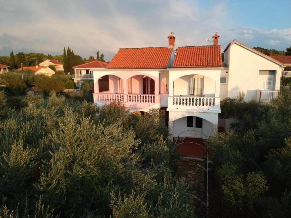 Spring, Bird's eye view, On site, Garden view
