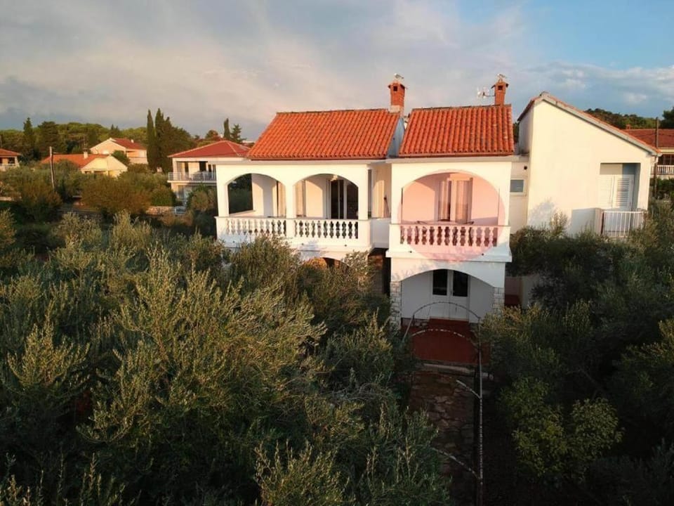 Bird's eye view, Garden view
