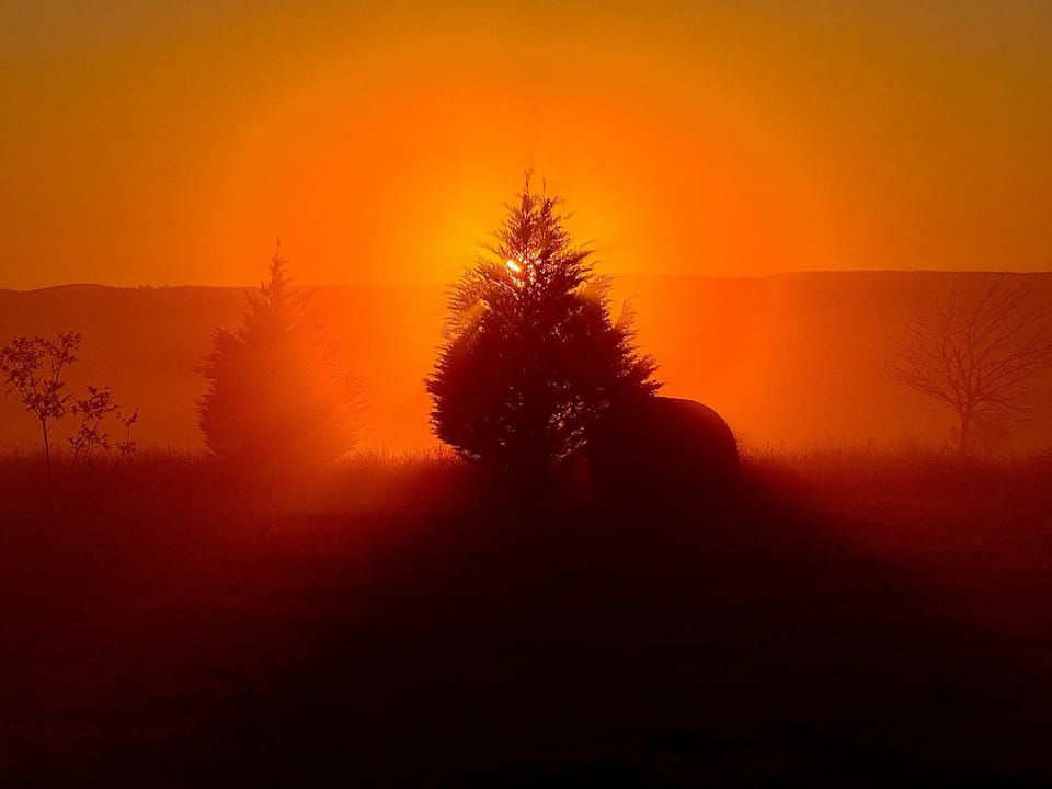 Mountain view, Sunrise