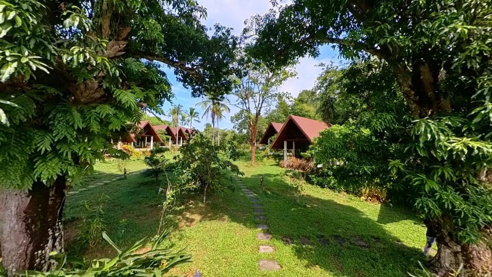 Property building, Day, Garden, Garden view