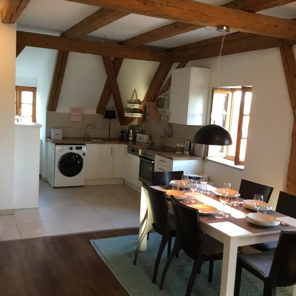 Kitchen or kitchenette, Photo of the whole room