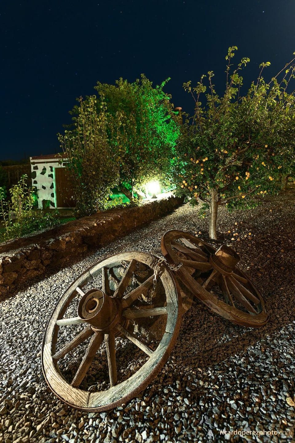 Garden, Garden