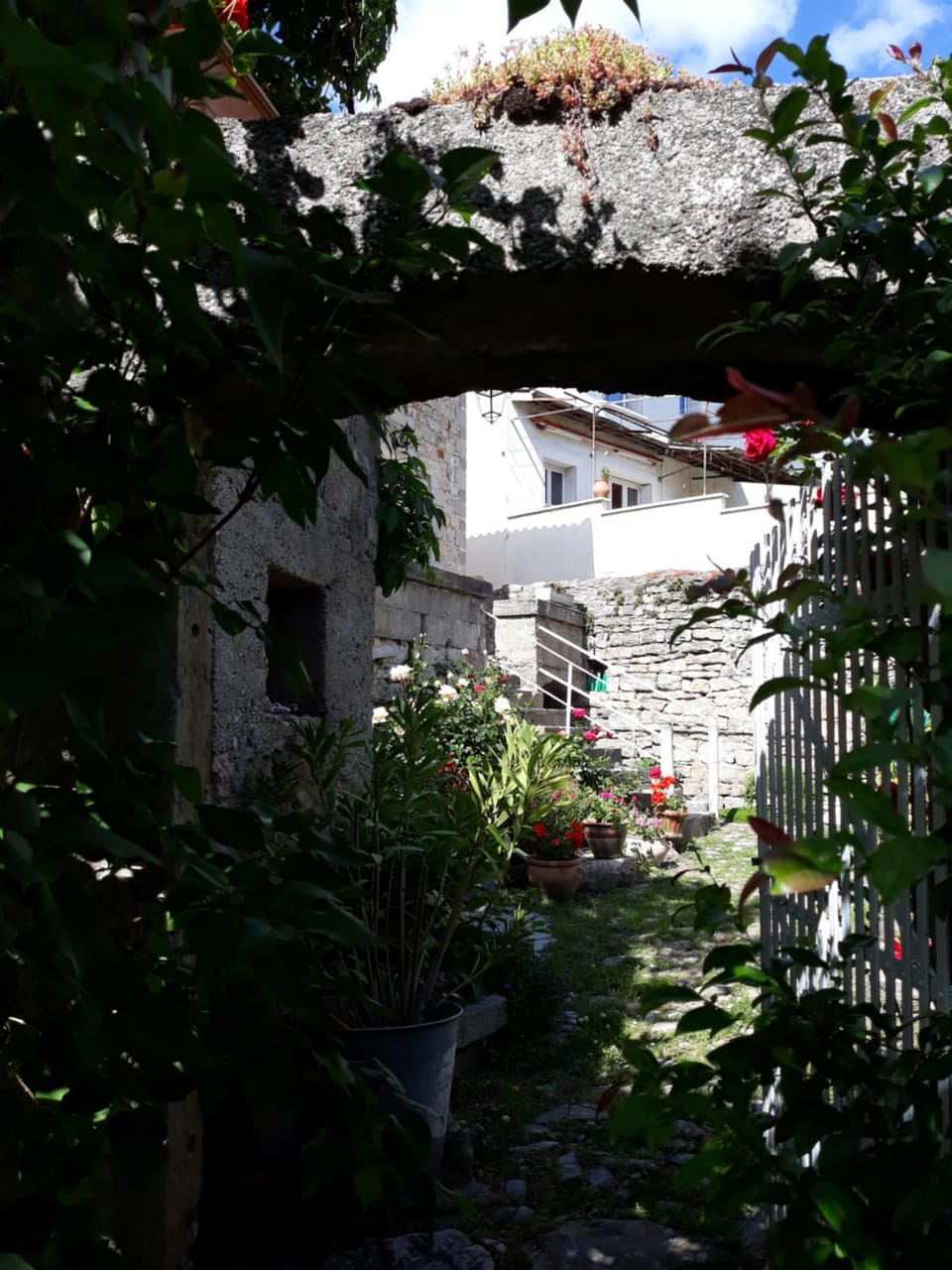 Property building, Garden view