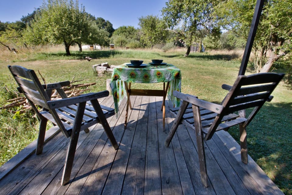 Day, Natural landscape, Garden view