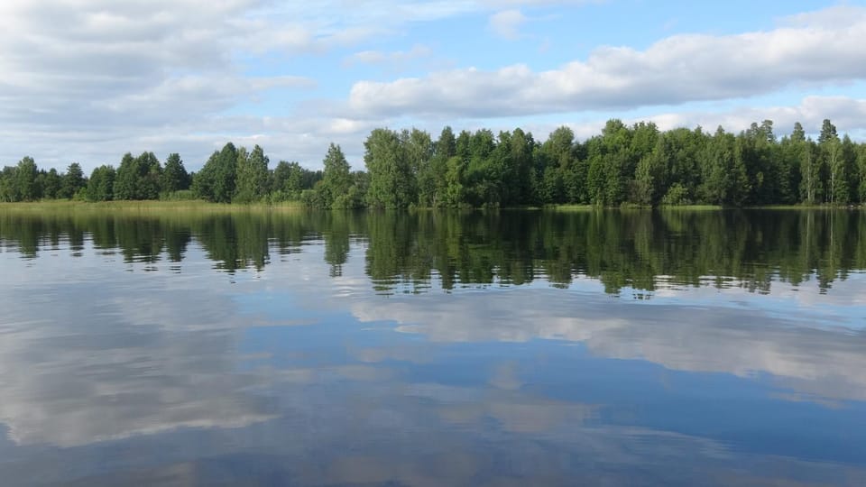 Natural landscape