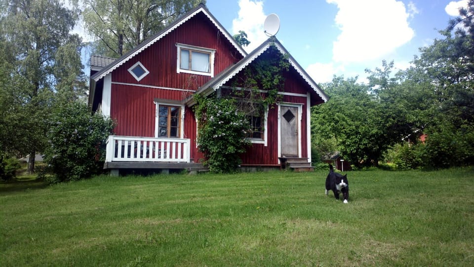 Property building, Garden, Garden view
