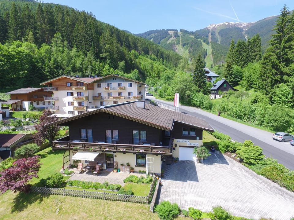 Bird's eye view, Summer