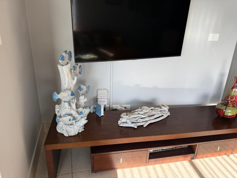 TV and multimedia