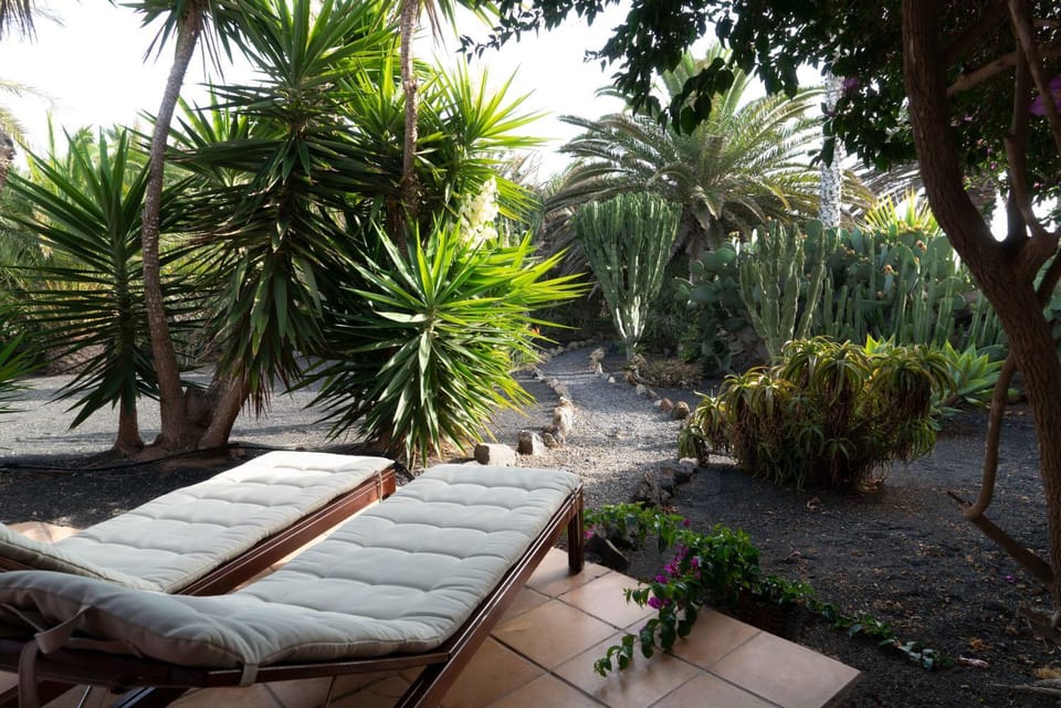 Casa Panama,in der Finca Mimosa Apartment in Isla de Lanzarote