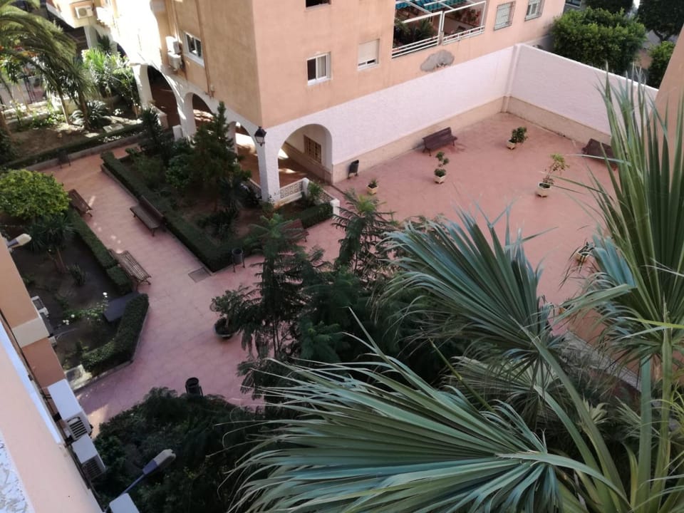 Garden, Garden view, Area and facilities