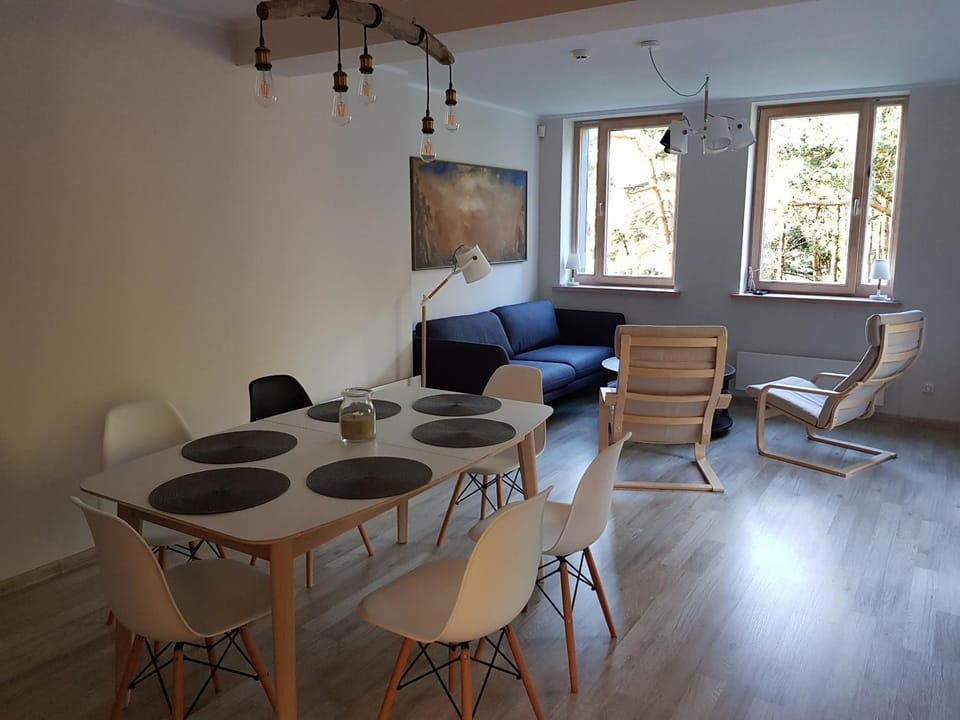 Living room, Photo of the whole room, Decorative detail, Seating area, Dining area