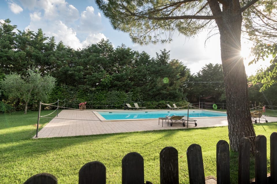 Garden, Swimming pool, Swimming pool