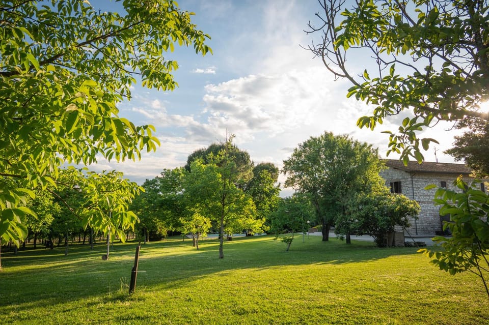 Natural landscape, Garden, Garden view