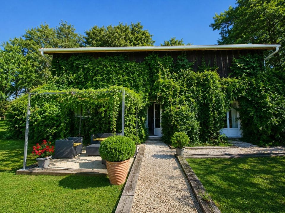 Natural landscape, Summer, Garden, Garden view