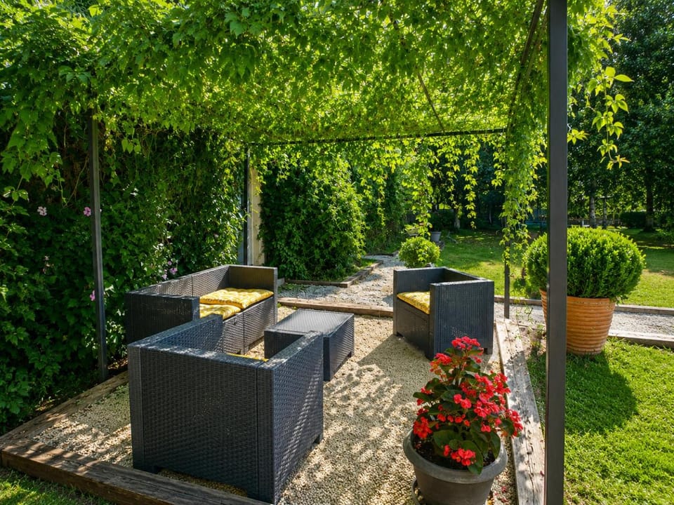 Patio, Summer, Garden, Garden view
