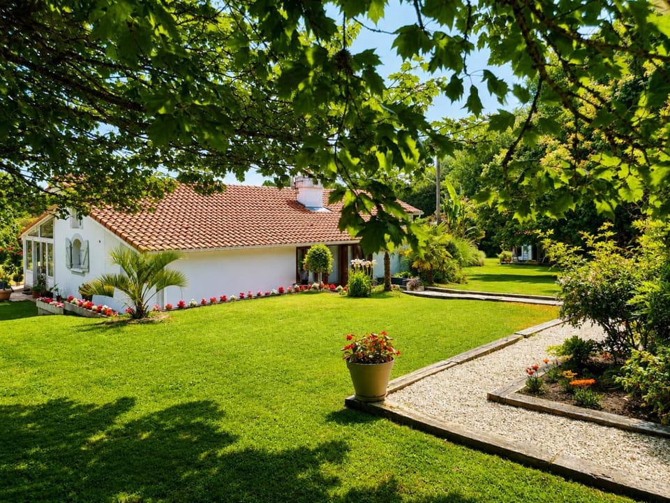 Natural landscape, Garden, Garden view