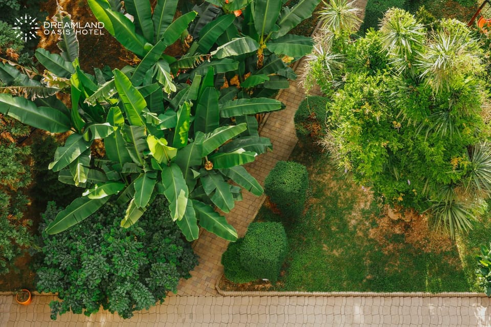 Natural landscape, Garden