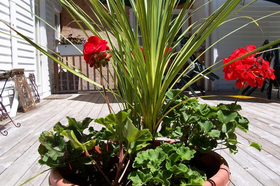 Balcony/Terrace