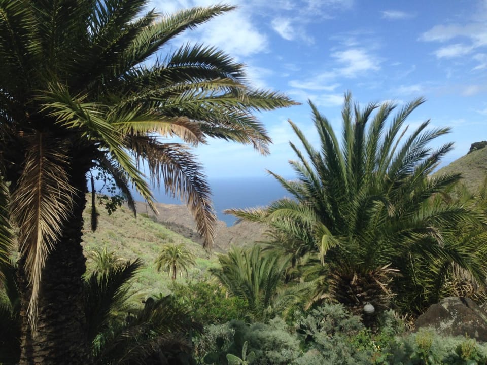 Garden view, Mountain view, Sea view