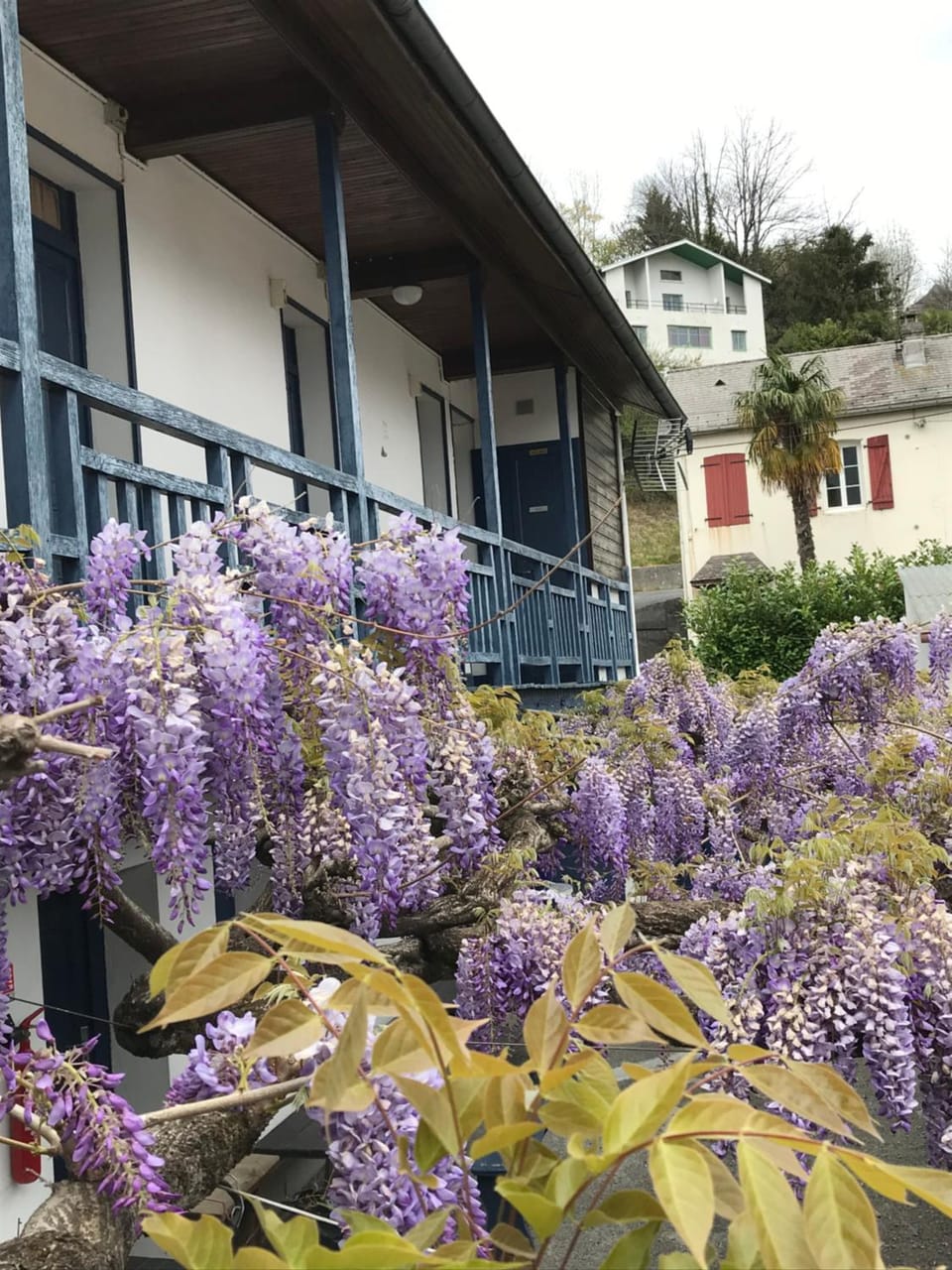 Property building, Restaurant/places to eat, Spring, Place of worship, Children play ground, Fishing, Garden, Skiing, Hiking, Cycling, Garden view, Landmark view, Mountain view, Swimming pool, Family