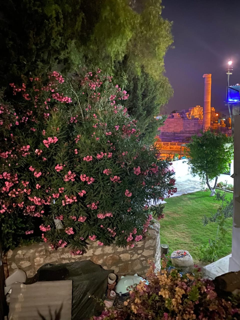 Night, Garden, Balcony/Terrace, Landmark view