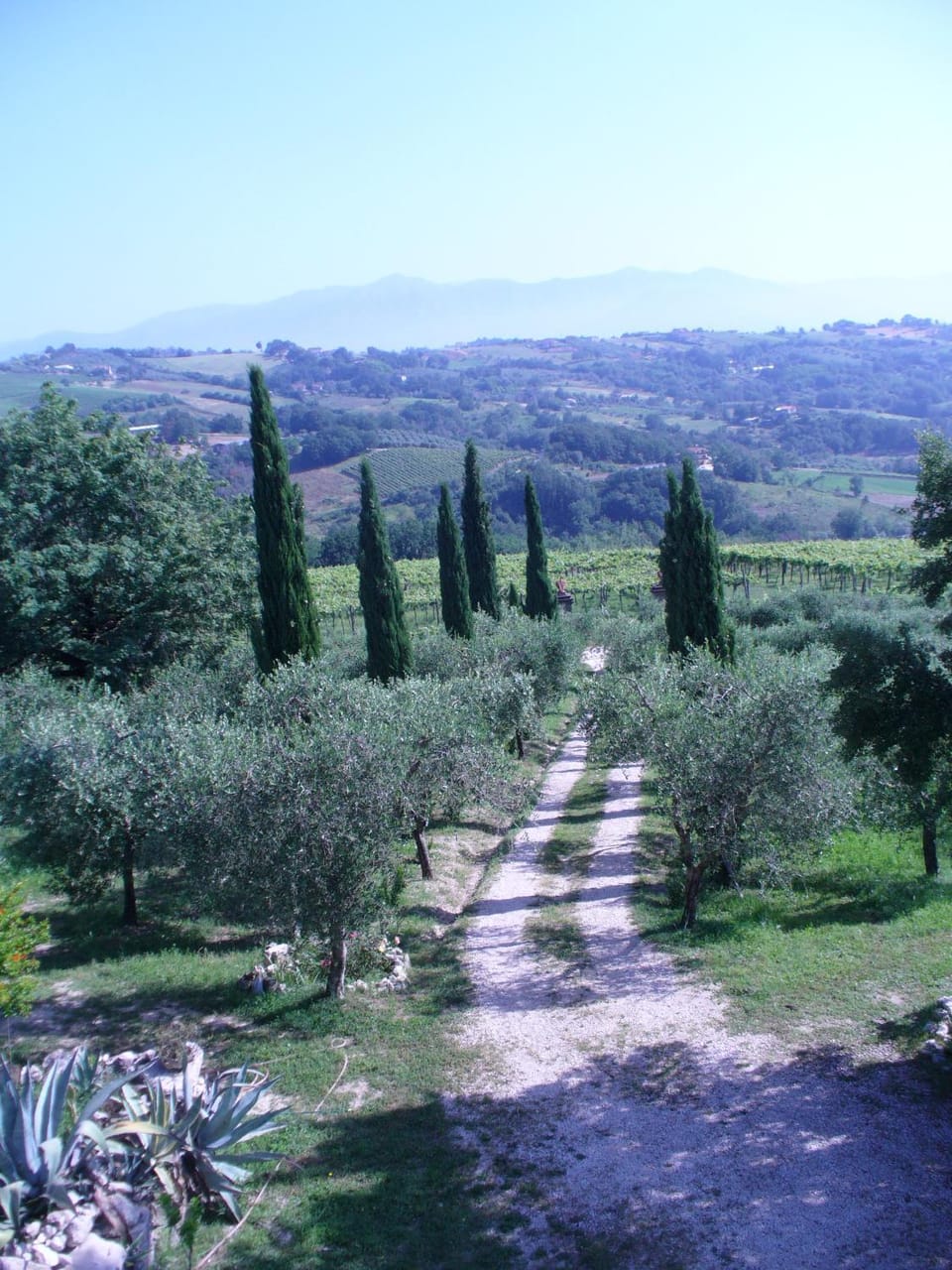 Casale Nido dell'Aquila Country House in Campania