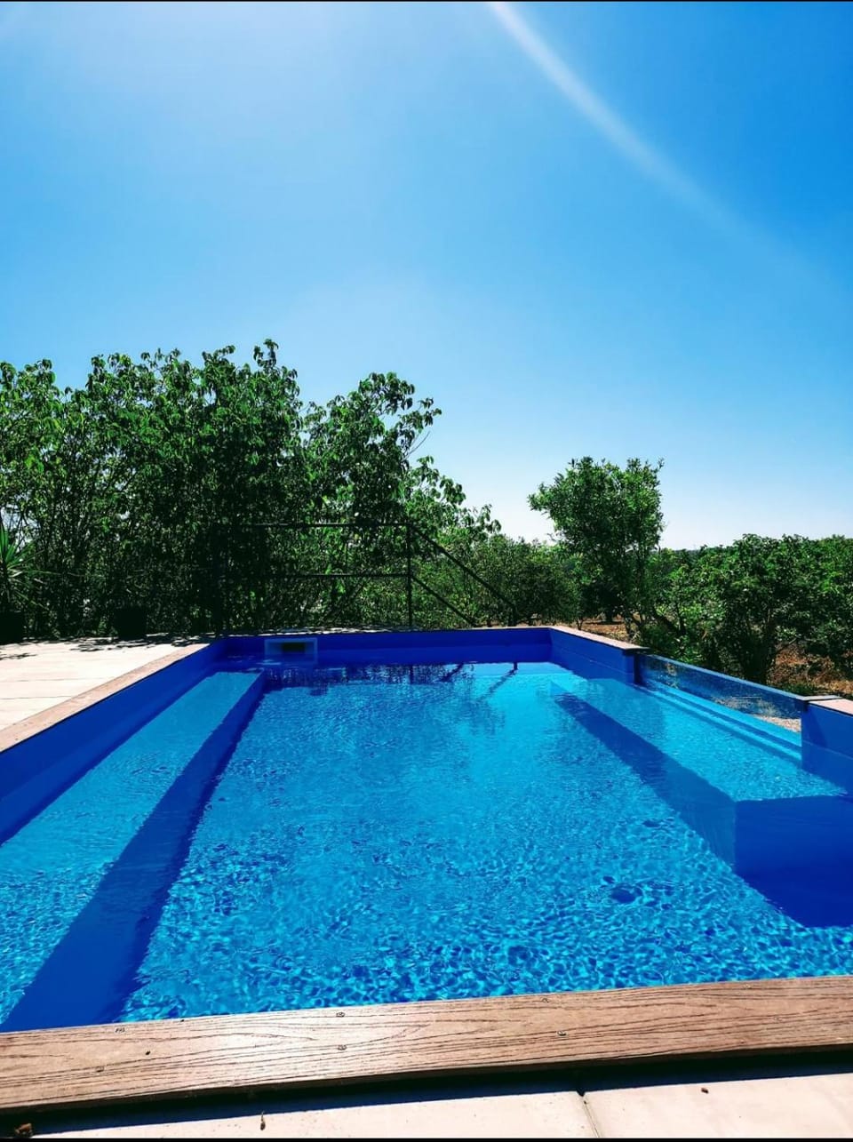 Day, Pool view, Swimming pool