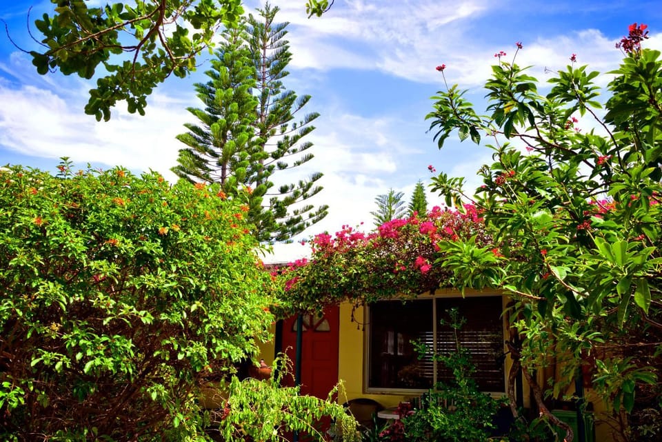 Garden, Garden view
