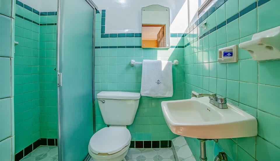 Shower, Bathroom, towels