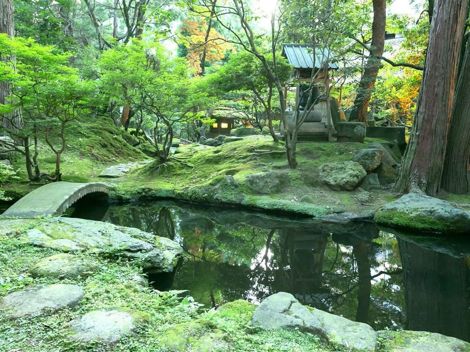 Natural landscape, Garden